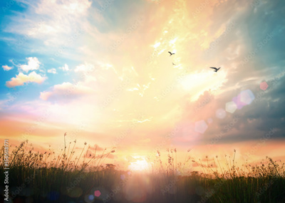 Adobestock 156508771 Preview